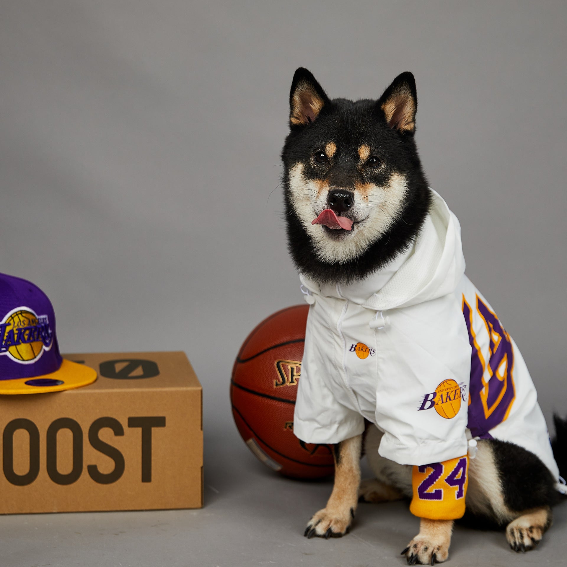 Keep Your Pet Stylish and Warm with the Polyester Pet Shell Jacket